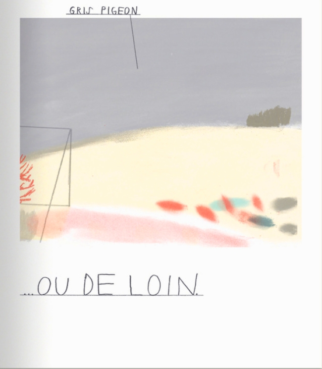 Le livre des cinq sens – Lucie Lučanská 