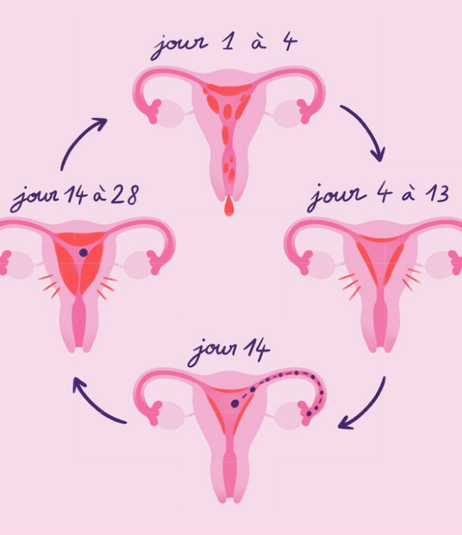 Changer les règles – Claire Lecoeuvre et Victoria Roussel