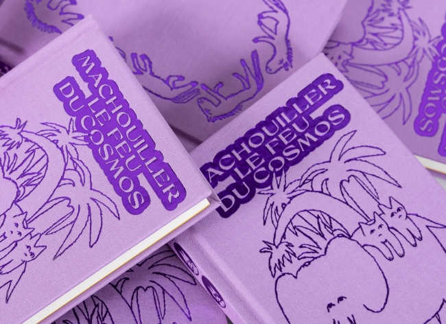 Mâchouiller le feu du cosmos – Adèle Verlinden